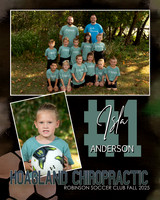 Hoagland Chiropractic