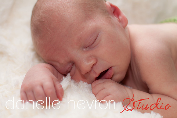 @danelle hevron studio