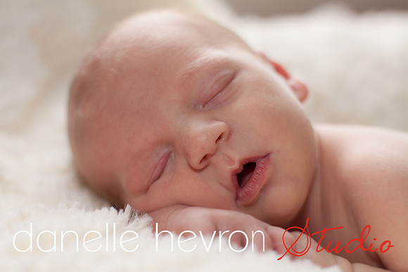 @danelle hevron studio
