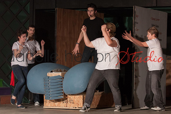 @danelle hevron studio
