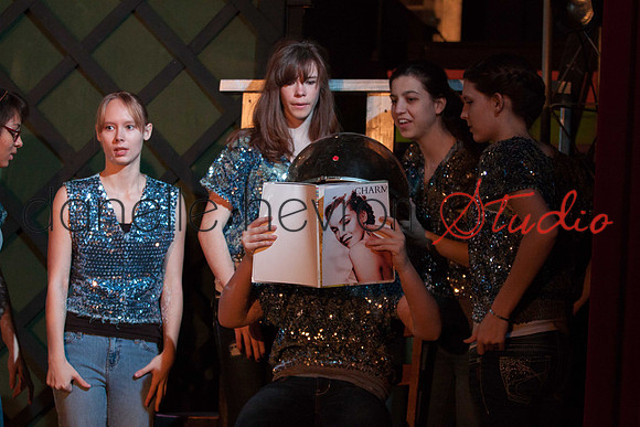 @danelle hevron studio