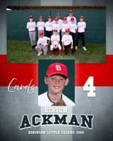 CARDS 2026
