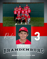 REDS 2026