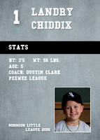 WHITE SOX 2026