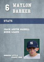 YANKEES 2026
