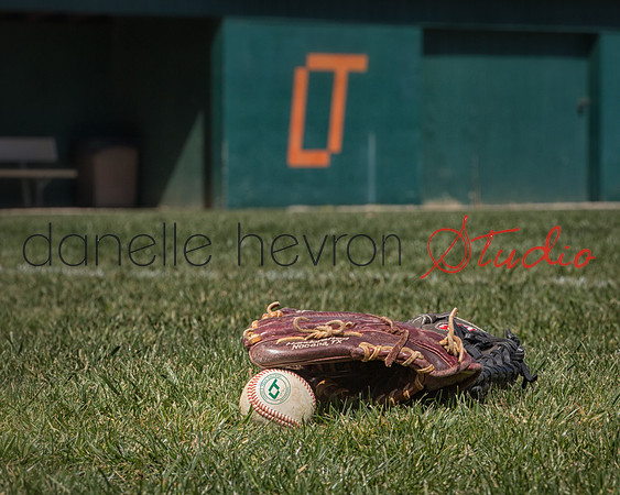 Danelle Hevron Studio