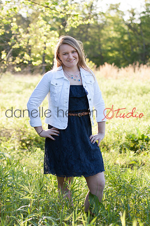 @danelle hevron studio