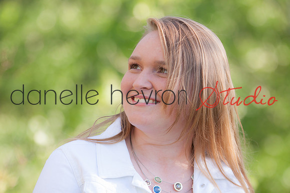 @danelle hevron studio