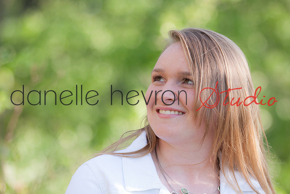 @danelle hevron studio