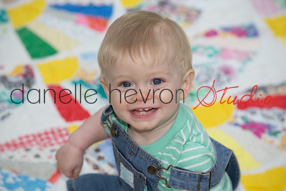 @danelle hevron studio
