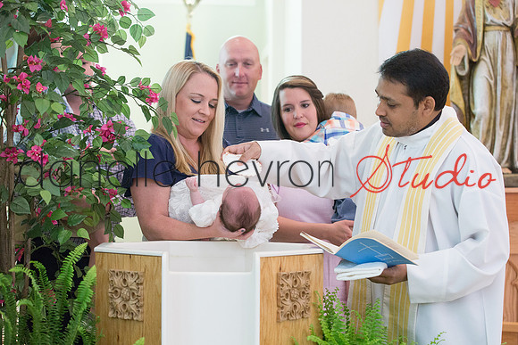 Danelle Hevron Studio