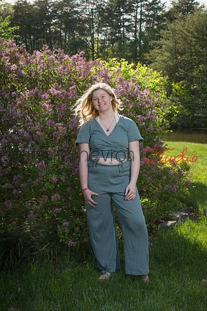 Danelle Hevron Studio