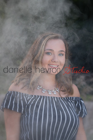 Danelle Hevron Studio