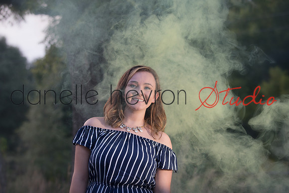 Danelle Hevron Studio