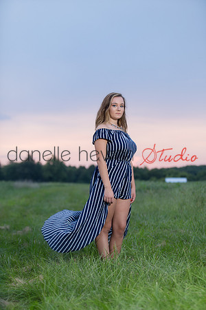 Danelle Hevron Studio