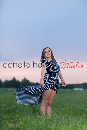 Danelle Hevron Studio