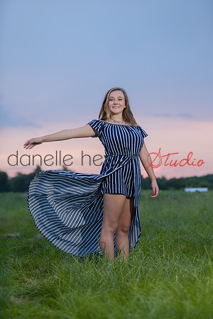 Danelle Hevron Studio