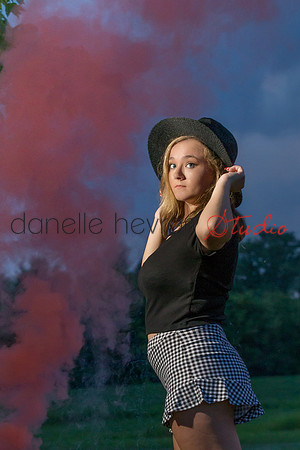 Danelle Hevron Studio