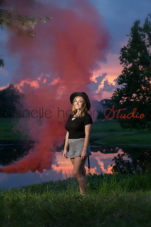 Danelle Hevron Studio