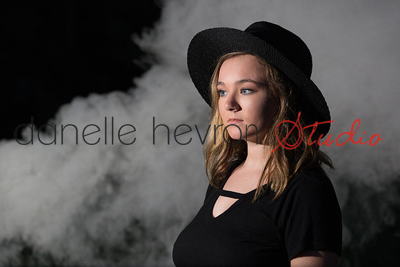 Danelle Hevron Studio