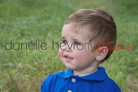 Danelle Hevron Studio
