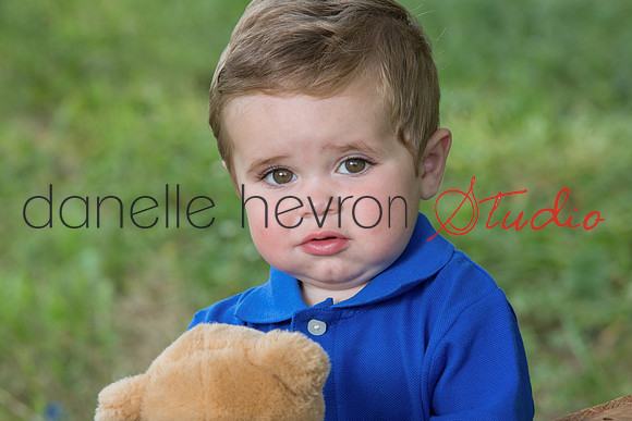 Danelle Hevron Studio