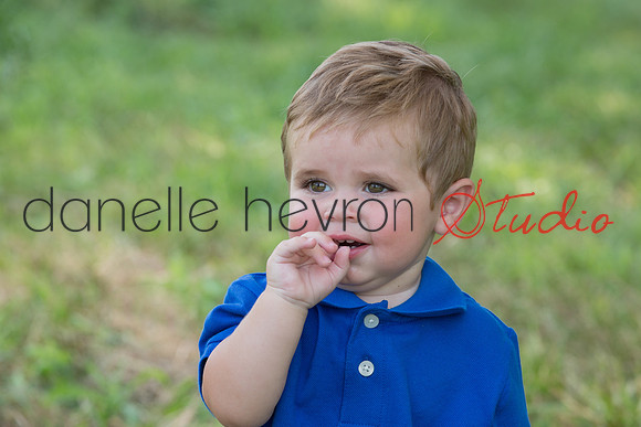 Danelle Hevron Studio