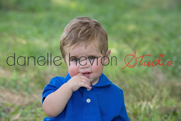 Danelle Hevron Studio