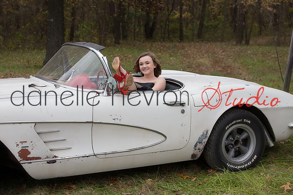 Danelle Hevron Studio