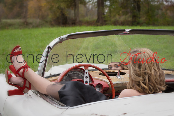 Danelle Hevron Studio