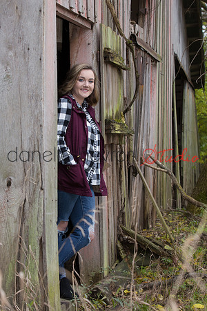 Danelle Hevron Studio