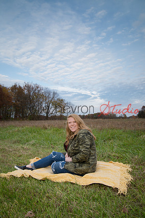 Danelle Hevron Studio