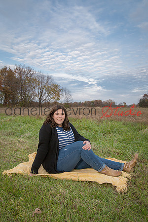 Danelle Hevron Studio