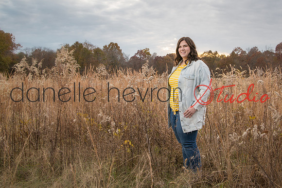 Danelle Hevron Studio