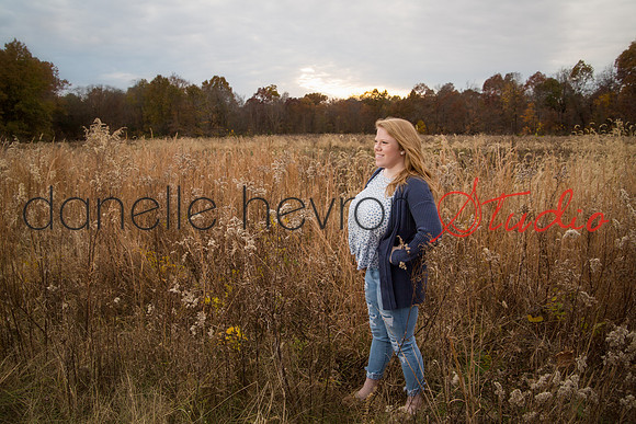 Danelle Hevron Studio