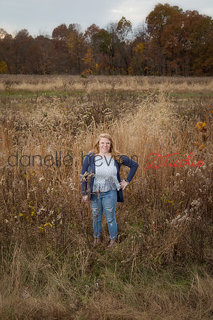 Danelle Hevron Studio