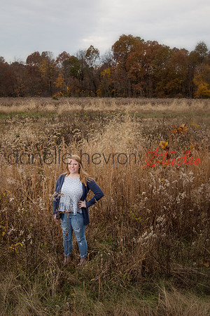 Danelle Hevron Studio
