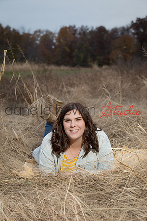 Danelle Hevron Studio