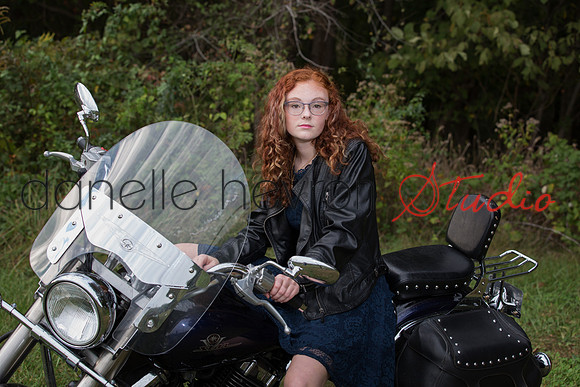 Danelle Hevron Studio