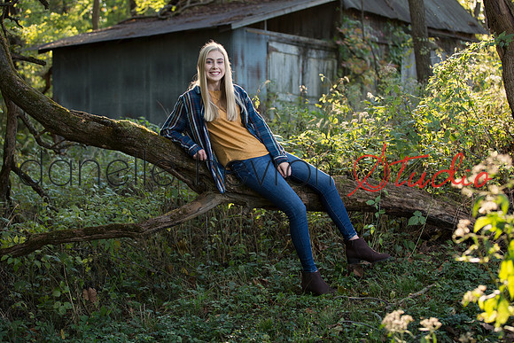 Danelle Hevron Studio