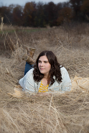 Danelle Hevron Studio