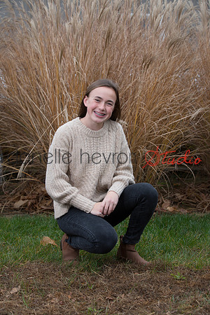 Danelle Hevron Studio