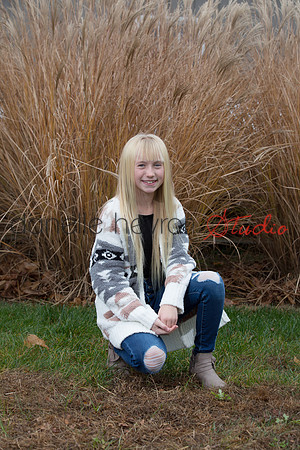 Danelle Hevron Studio