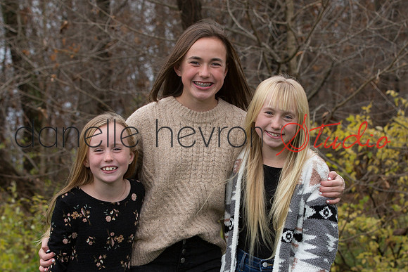 Danelle Hevron Studio