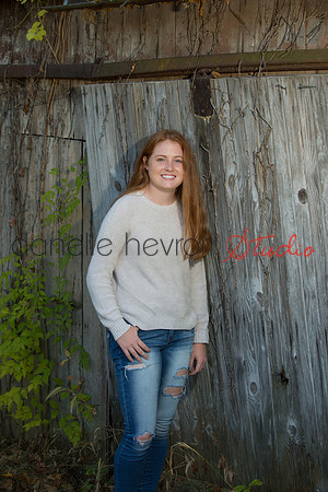 Danelle Hevron Studio